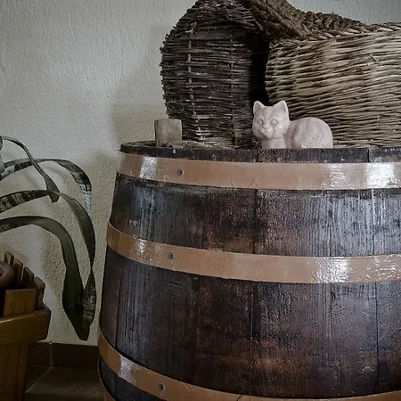 Tonivale Alojamento de Acomodação e Pequeno-almoço